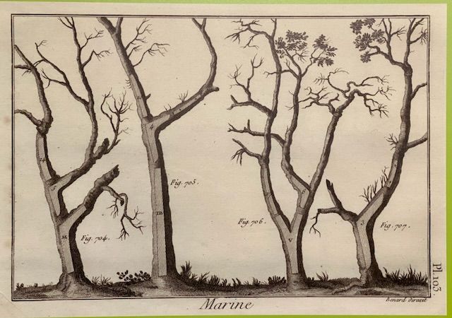 12 мая - 19 мая 2023